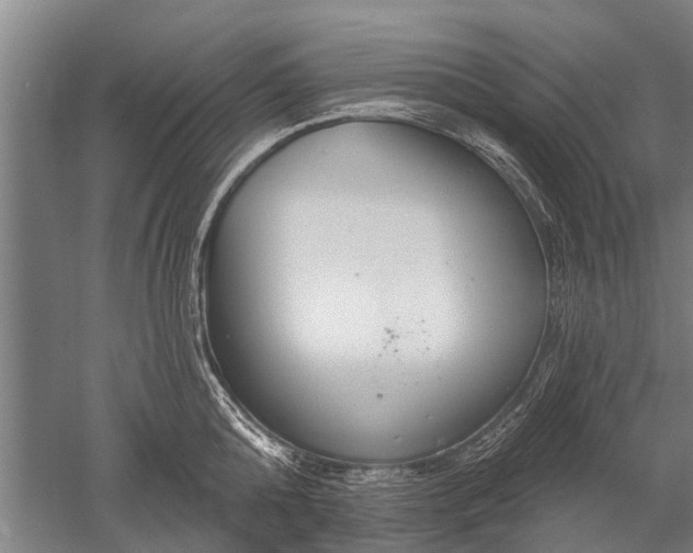 X0000052570808200507081700