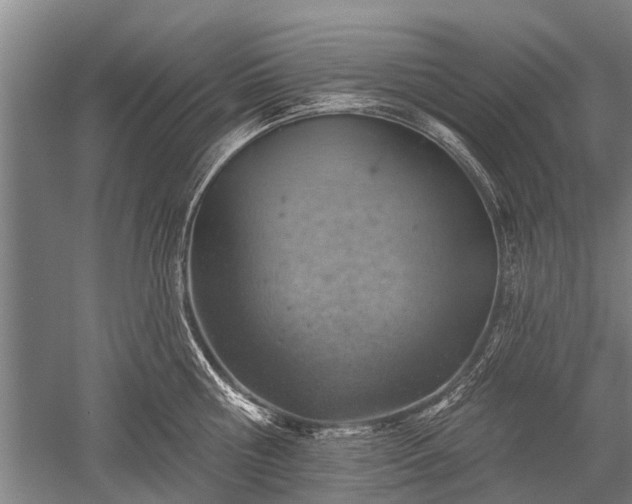 X0000052570810200507081700