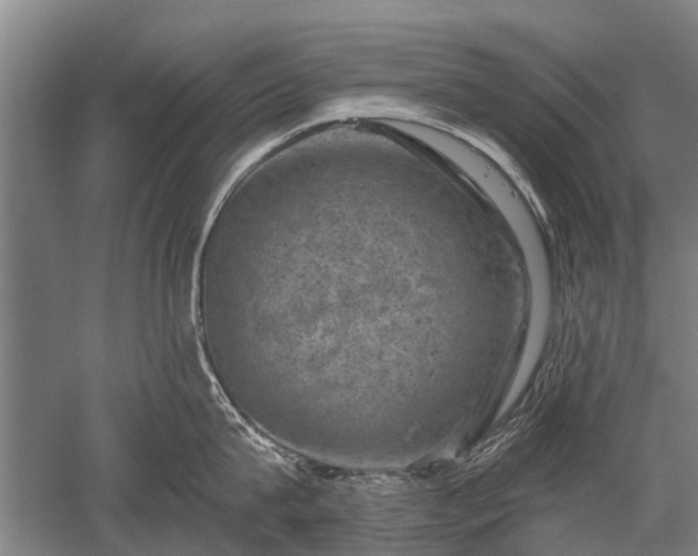 X0000052570815200507081700