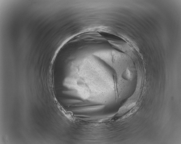 X0000052570816200507081700