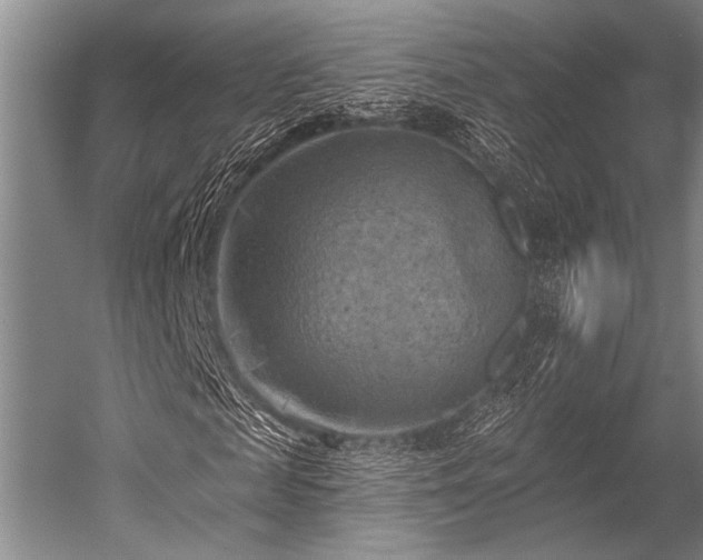 X0000052570817200507081659