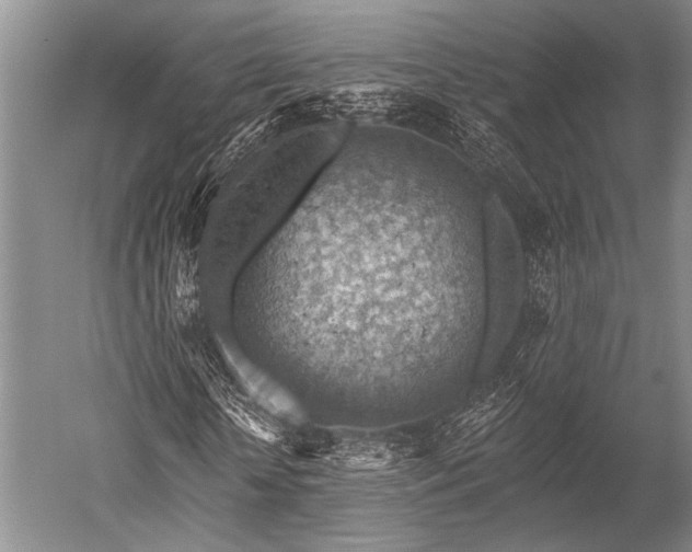 X0000052570818200507081659