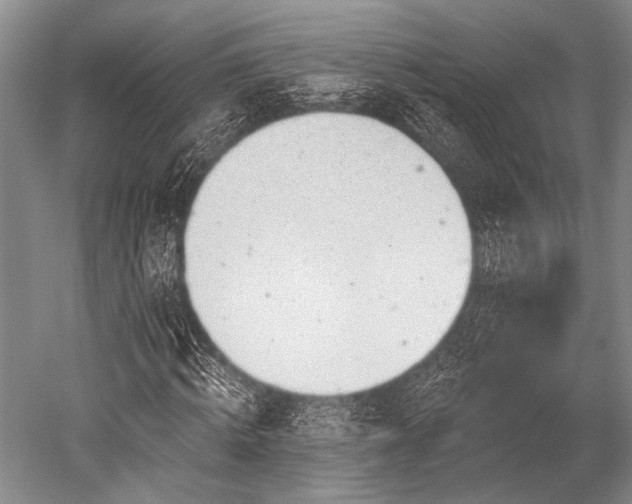 X0000052570820200507081659