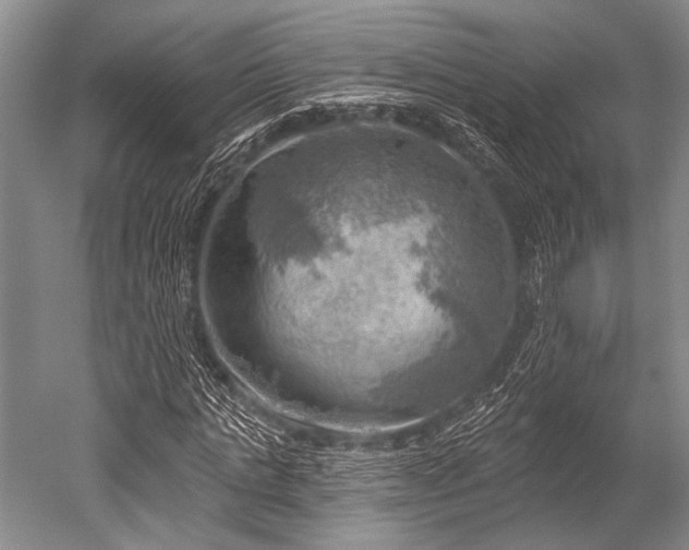 X0000052570821200507081659