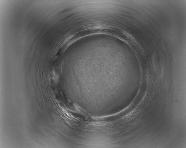 X0000052570825200507081659