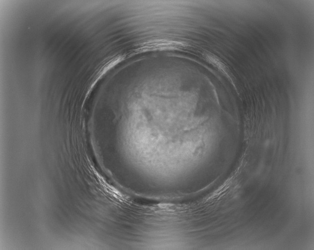 X0000052570827200507081659