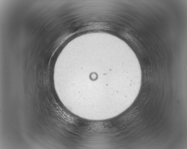 X0000052570828200507081659