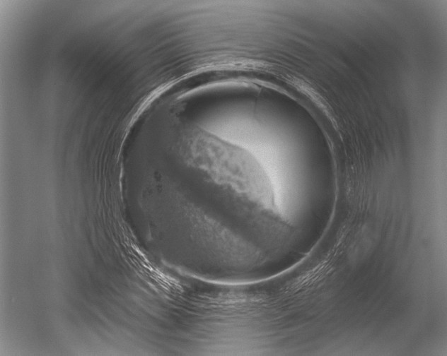 X0000052570829200507081659