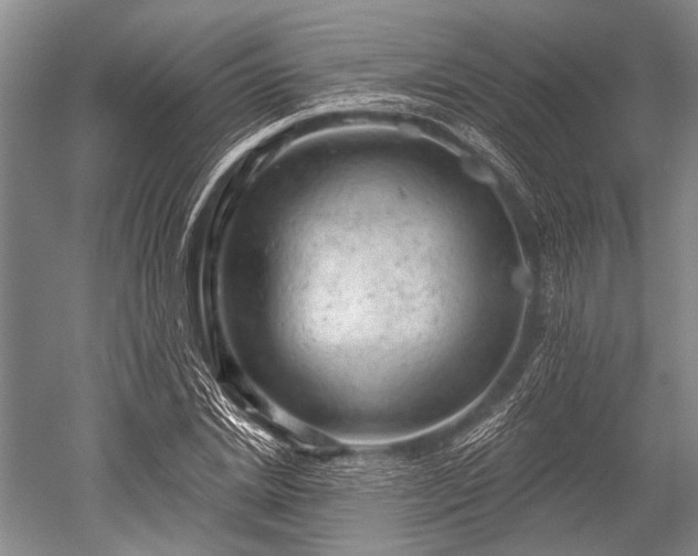 X0000052570830200507081659