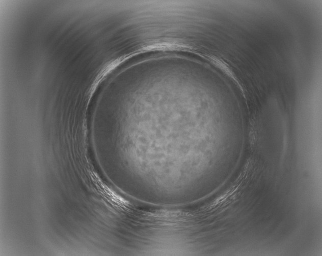 X0000052570831200507081659