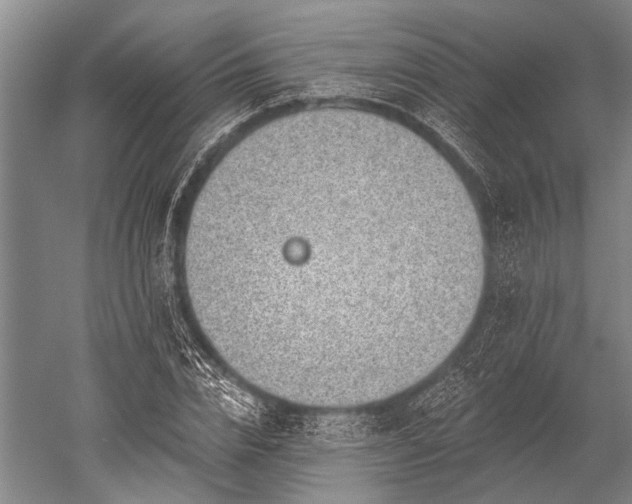 X0000052570832200507081659