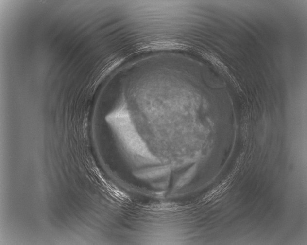 X0000052570833200507081659