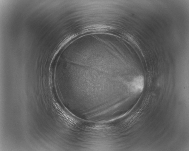 X0000052570835200507081659