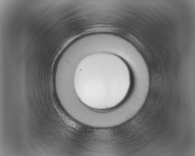 X0000052570836200507081659