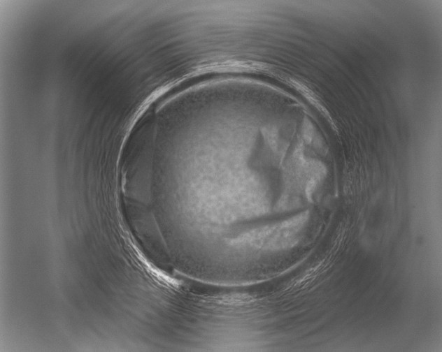 X0000052570837200507081659