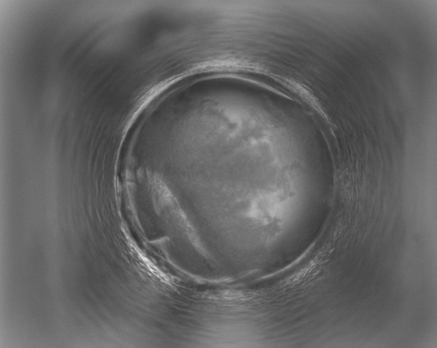 X0000052570839200507081659