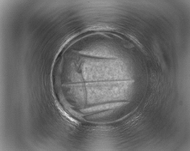 X0000052570840200507081659