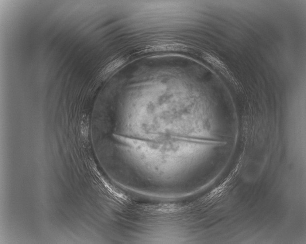 X0000052570841200507081659