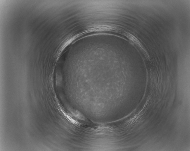 X0000052570842200507081659