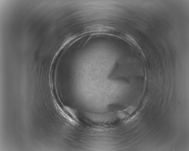 X0000052570843200507081659