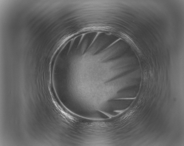 X0000052570844200507081659