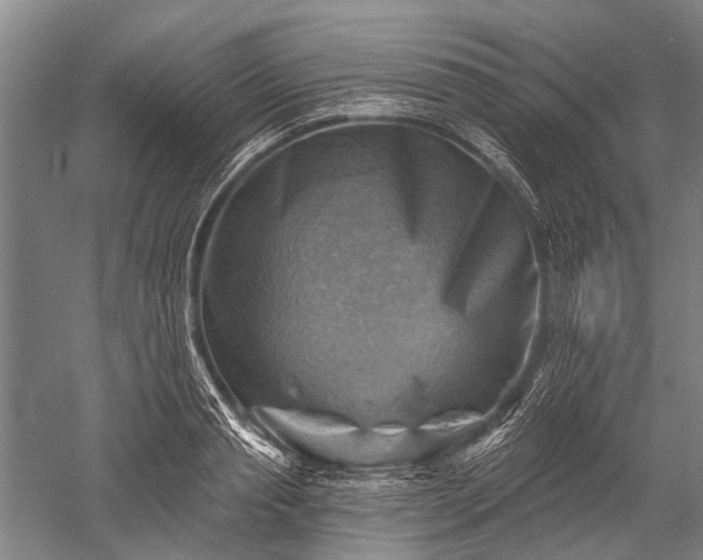 X0000052570845200507081659