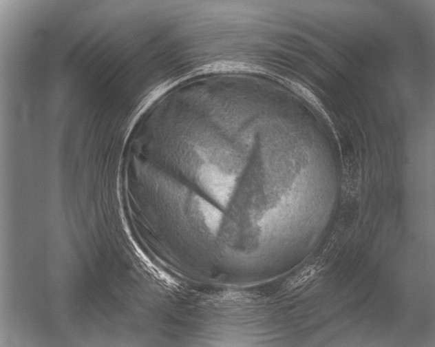 X0000052570847200507081700