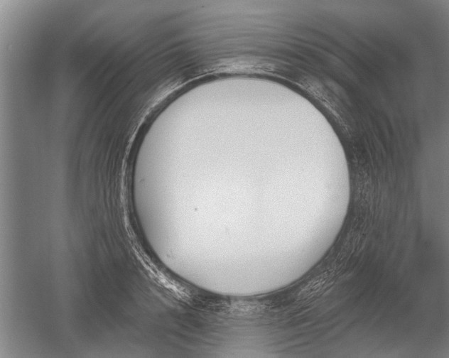 X0000052570848200507081700