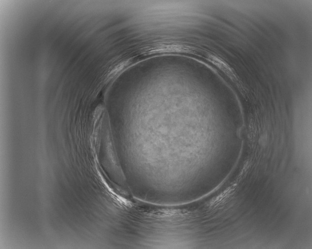 X0000052570849200507081700