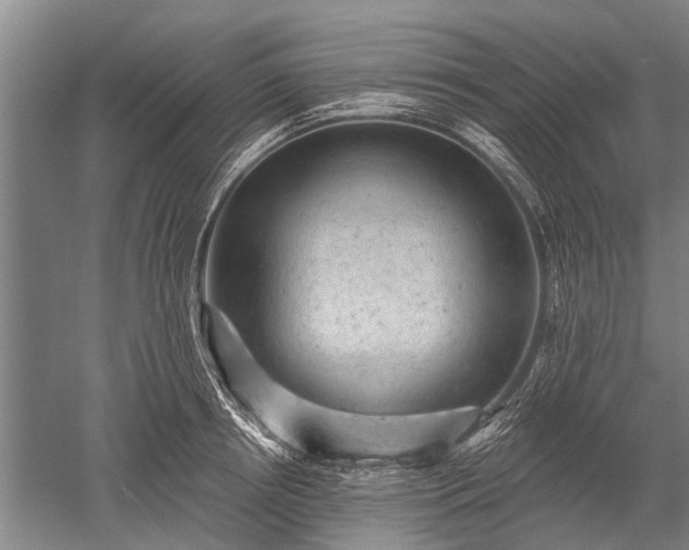 X0000052570850200507081700