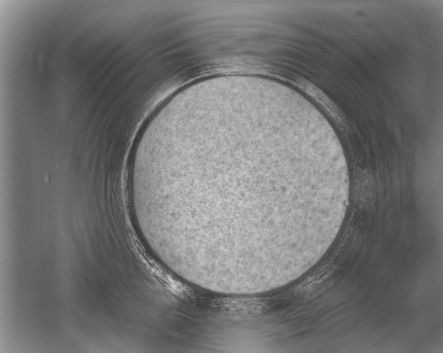 X0000052570856200507081700