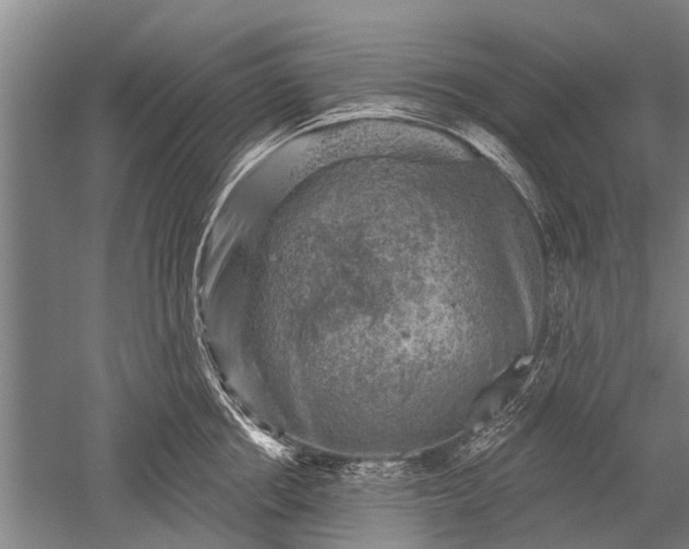 X0000052570858200507081700