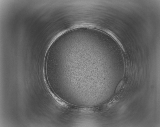 X0000052570861200507081700