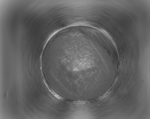 X0000052570862200507081700