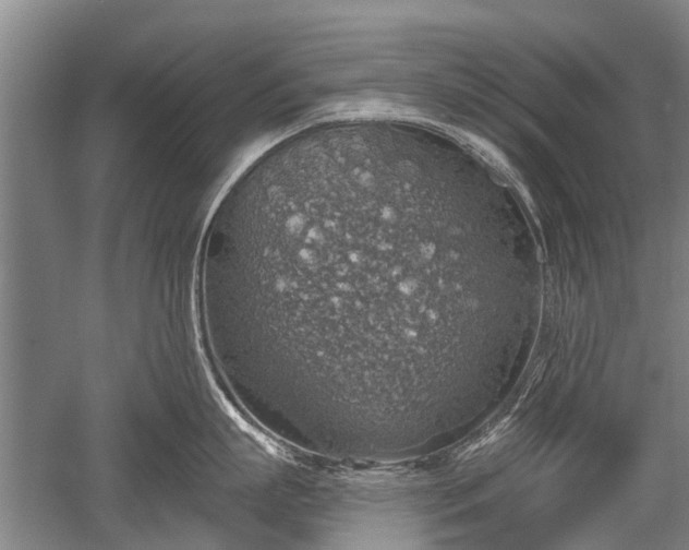 X0000052570863200507081700