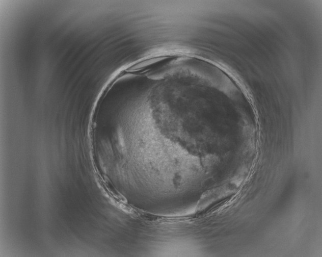 X0000052570864200507081700