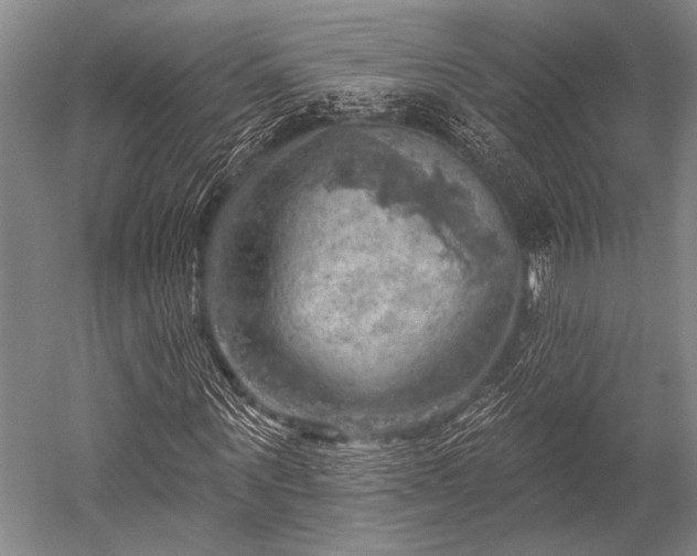 X0000052570867200507081659