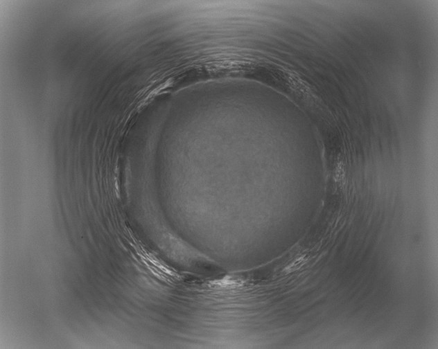 X0000052570868200507081659