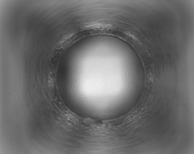 X0000052570869200507081659