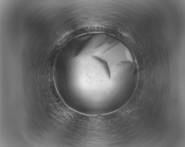 X0000052570870200507081659