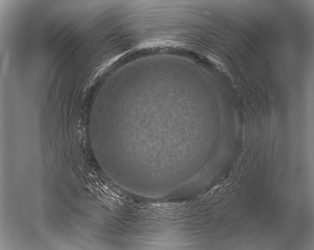 X0000052570872200507081659