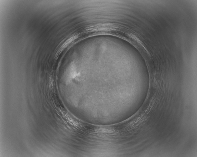 X0000052570874200507081659