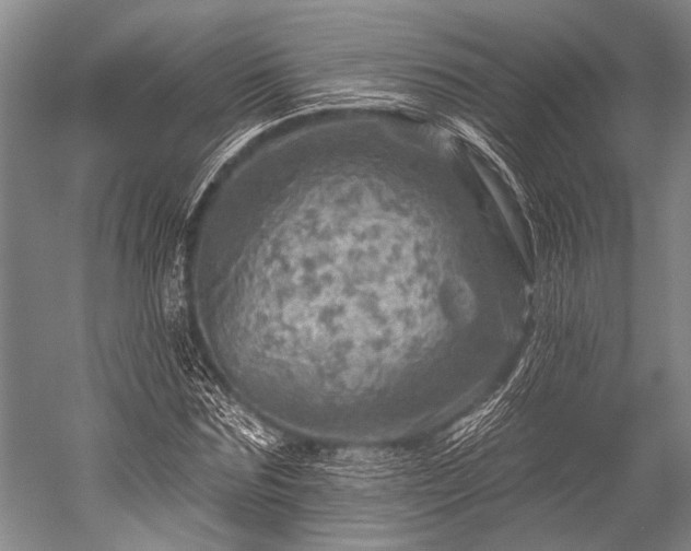 X0000052570875200507081659