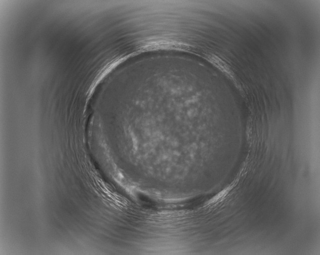 X0000052570877200507081659