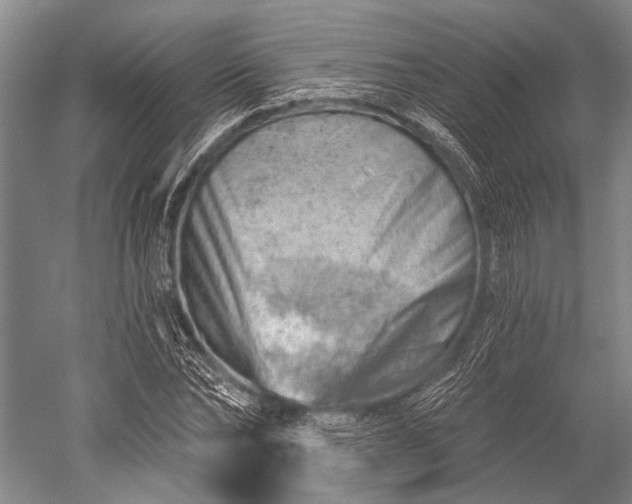 X0000052570878200507081659