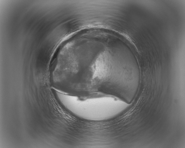 X0000052570879200507081659