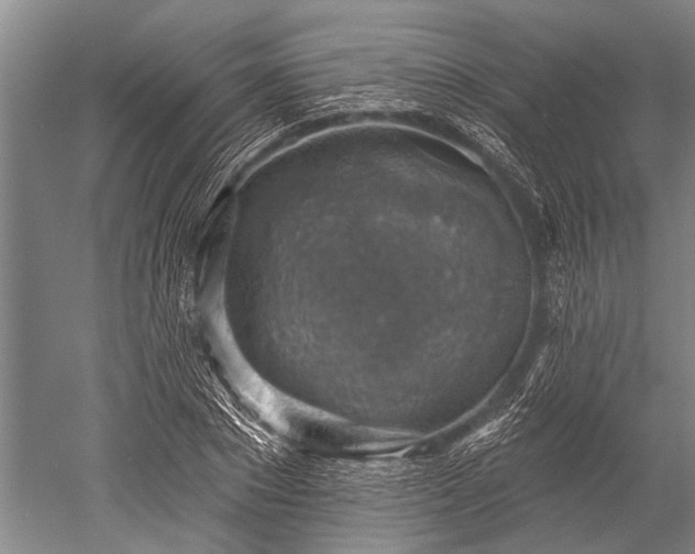 X0000052570881200507081659