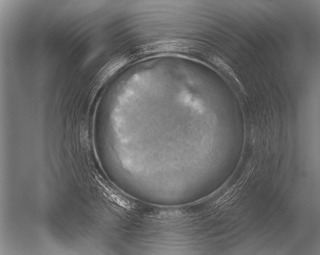 X0000052570882200507081659