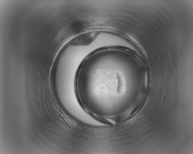 X0000052570883200507081659