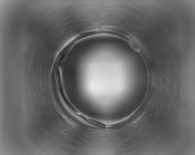 X0000052570885200507081659